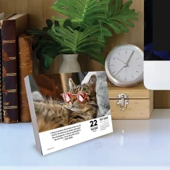 2026 Willow Creek Press Page-A-Day Daily Desk Calendar, 6-1/4