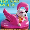 2026 Willow Creek Press Page-A-Day Daily Desk Calendar, 6-1/4" x 5-1/2", What Dogs Teach Us, January To December, 54512