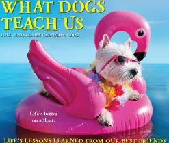2026 Willow Creek Press Page-A-Day Daily Desk Calendar, 6-1/4" x 5-1/2", What Dogs Teach Us, January To December, 54512