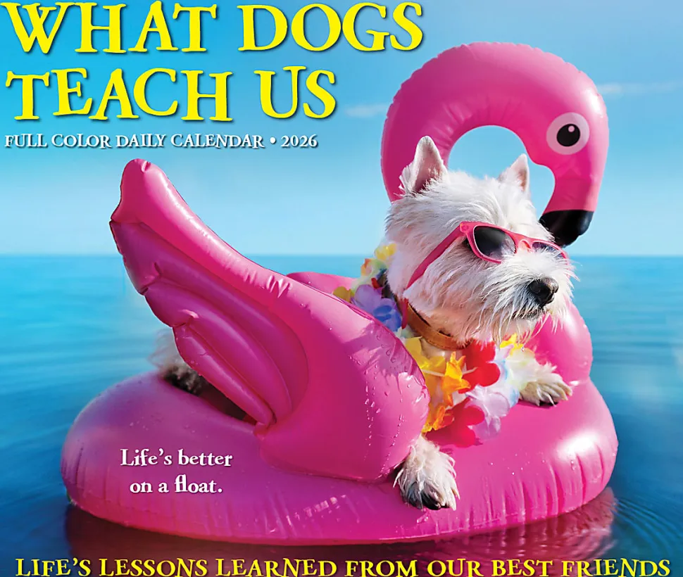 2026 Willow Creek Press Page-A-Day Daily Desk Calendar, 6-1/4" x 5-1/2", What Dogs Teach Us, January To December, 54512