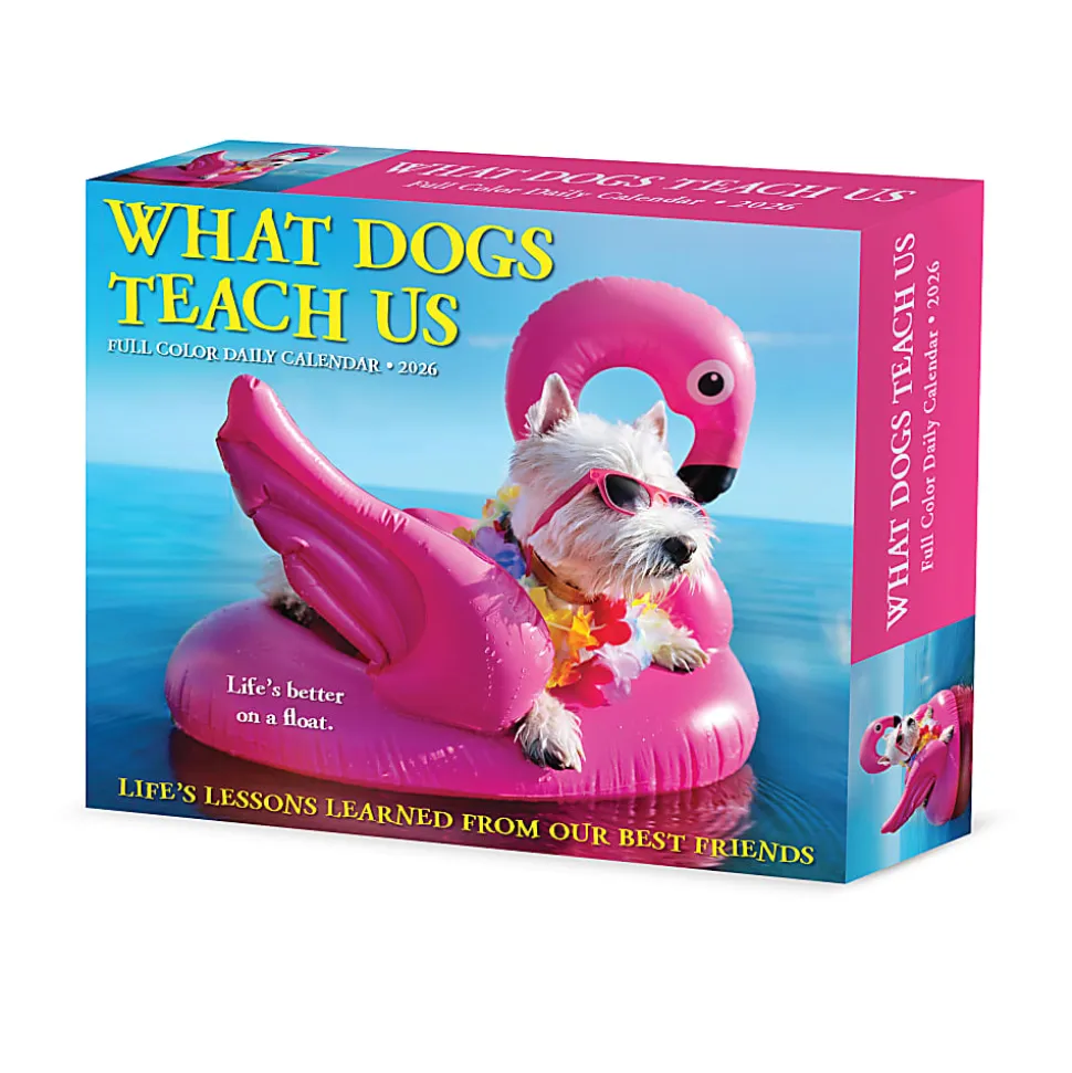 2026 Willow Creek Press Page-A-Day Daily Desk Calendar, 6-1/4" x 5-1/2", What Dogs Teach Us, January To December, 54512