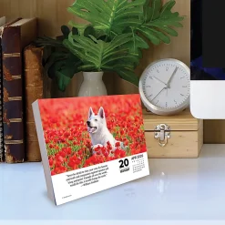 2026 Willow Creek Press Page-A-Day Daily Desk Calendar, 6-1/4