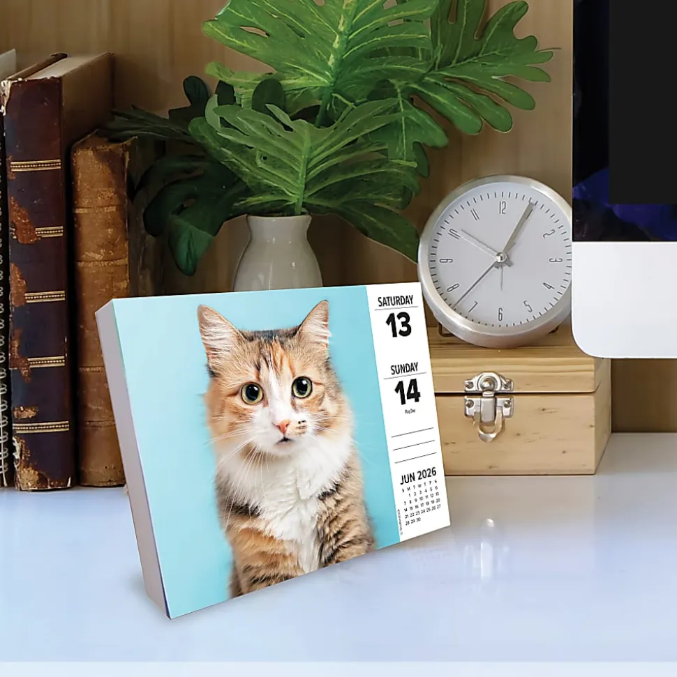 2026 Willow Creek Press Page-A-Day Daily Desk Calendar, 6-1/4" x 5-1/2", Cats, January To December, 54048