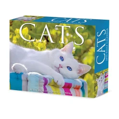 2026 Willow Creek Press Page-A-Day Daily Desk Calendar, 6-1/4