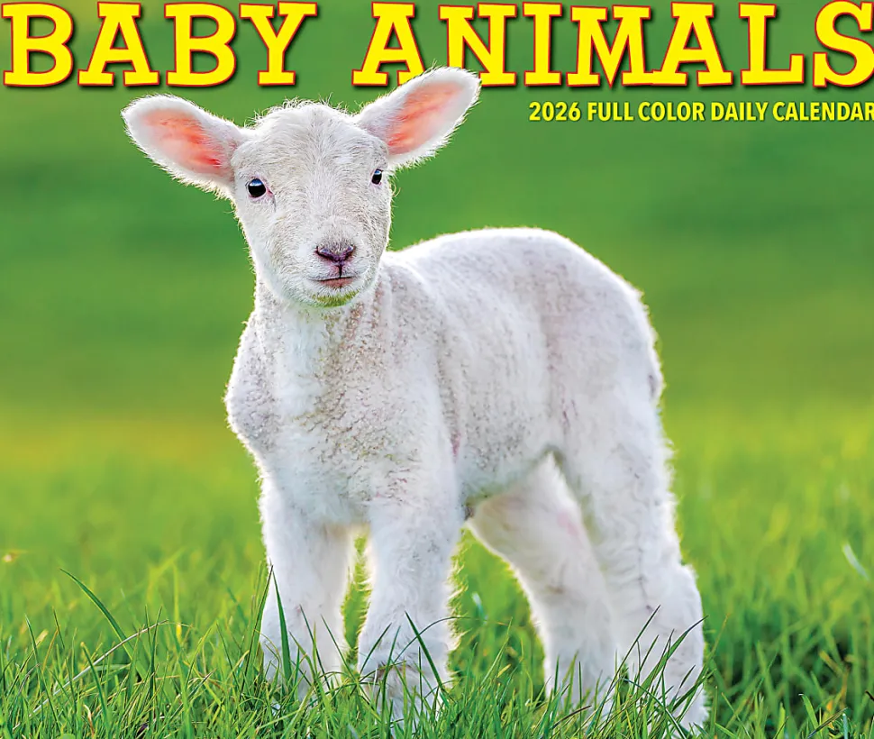 2026 Willow Creek Press Page-A-Day Daily Desk Calendar, 6-1/4" x 5-1/2", Baby Animals, January To December, 53928