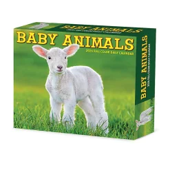 2026 Willow Creek Press Page-A-Day Daily Desk Calendar, 6-1/4