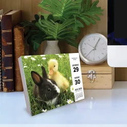 2026 Willow Creek Press Page-A-Day Daily Desk Calendar, 6-1/4