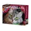 2026 Willow Creek Press Page-A-Day Daily Desk Calendar, 6-1/4" x 5-1/2", What Cats Teach Us, January To December, 54505