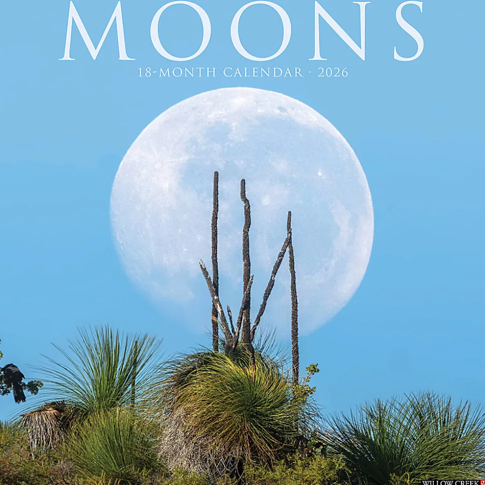 2026 Willow Creek Press Scenic Monthly Wall Calendar, 12" x 12", Moons, January To December, 52013