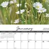 2026 Willow Creek Press Scenic Monthly Wall Calendar, 12" x 12", Wildflowers, January To December, 53294