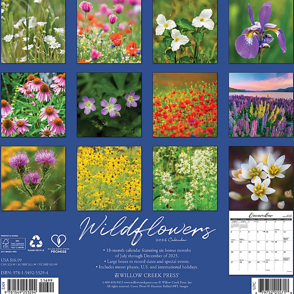 2026 Willow Creek Press Scenic Monthly Wall Calendar, 12" x 12", Wildflowers, January To December, 53294