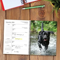 2026 Willow Creek Press Weekly Engagement Calendar, 6-1/2