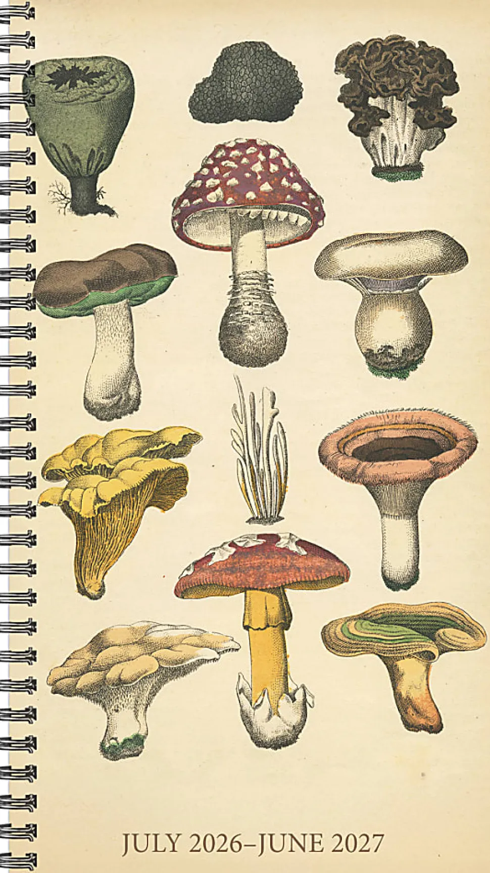 Willow Creek Press Weekly/Monthly Spiral Planner, 6-1/2" x 3-1/2", Fungi Files, July 2026 - June 2027, Total Qty 1