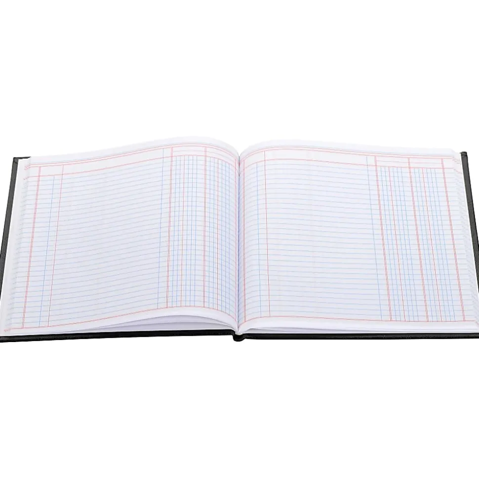 Wilson Jones® Single Page Columnar Book, 9 1/4" x 7", 2 Columns, 40 Sheets