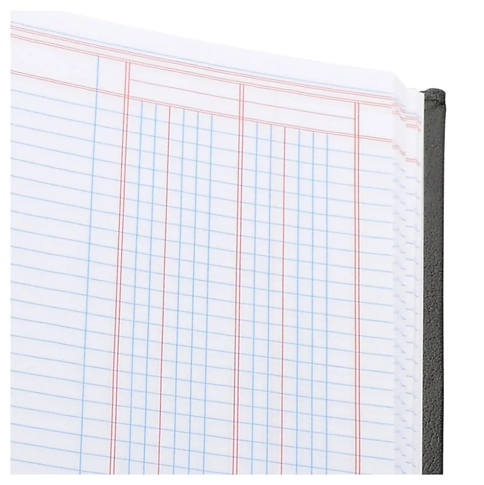 Wilson Jones® Single Page Columnar Book, 9 1/4" x 7", 2 Columns, 40 Sheets