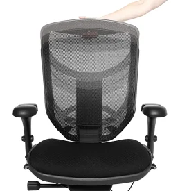 WorkPro® Quantum 9000 Series Ergonomic Mesh/Premium Fabric Adjustable-Back Office Chair, Black/Sky, BIFMA Compliant