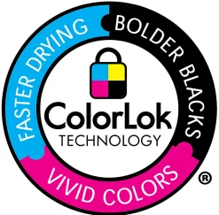 Xerox® Bold Digital® Printing Paper, 8 Reams, Letter Size (8 1/2" x 11"), 100 (U.S.) Brightness, 28 Lb, FSC® Certified, Ream Of 500 sheets