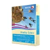 Xerox® Vitality Colors™ Multi-Use Printer & Copy Paper, 1 Ream, Ivory, Letter (8.5" x 11"), 500 Sheets Per Ream, 20 Lb, 30% Recycled