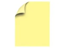 Xerox® Vitality™ Pastel Color Multi-Use Printer & Copy Paper, 400 Reams, Yellow, Letter (8.5